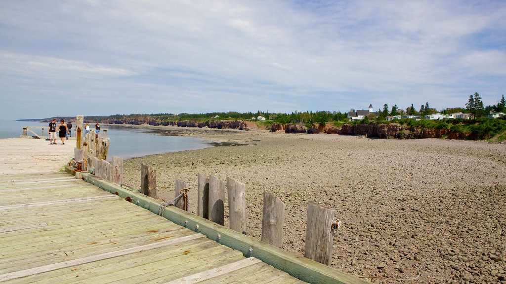 Kingston showing a pebble beach