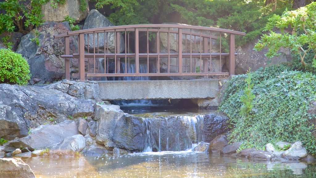 Kasugai Gardens showing a cascade, a bridge and a pond