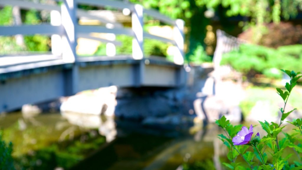 Kasugai Gardens showing flowers, wildflowers and a garden