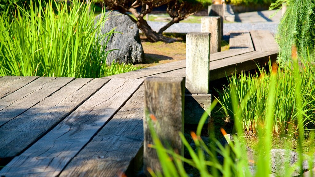 Jardines Kasugai que incluye un jardín