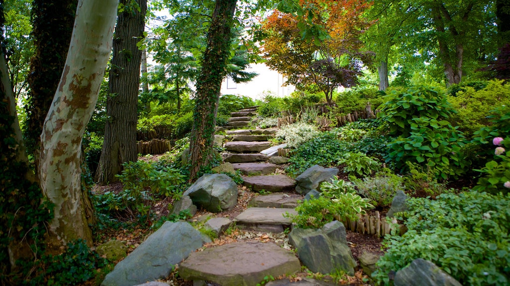 Delaware Park showing a garden