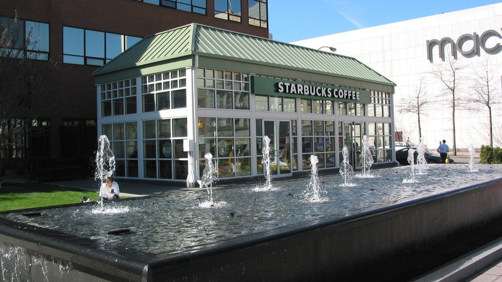 White Plains featuring modern architecture and a fountain