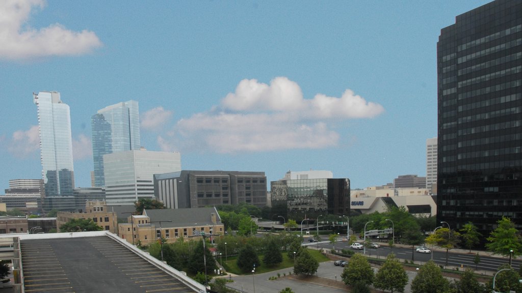 White Plains showing a city