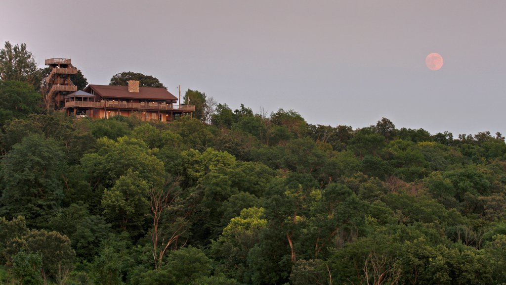 Council Bluffs showing forests and a sunset