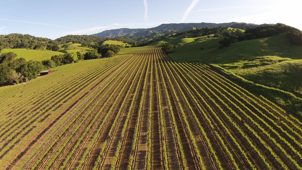 Fairfield showing landscape views and farmland