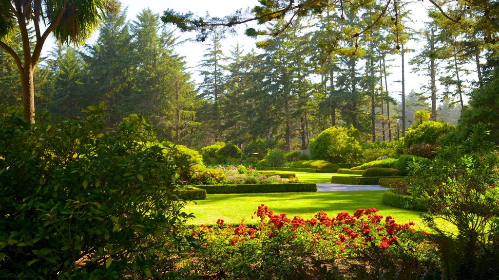 Shore Acres State Park showing a park