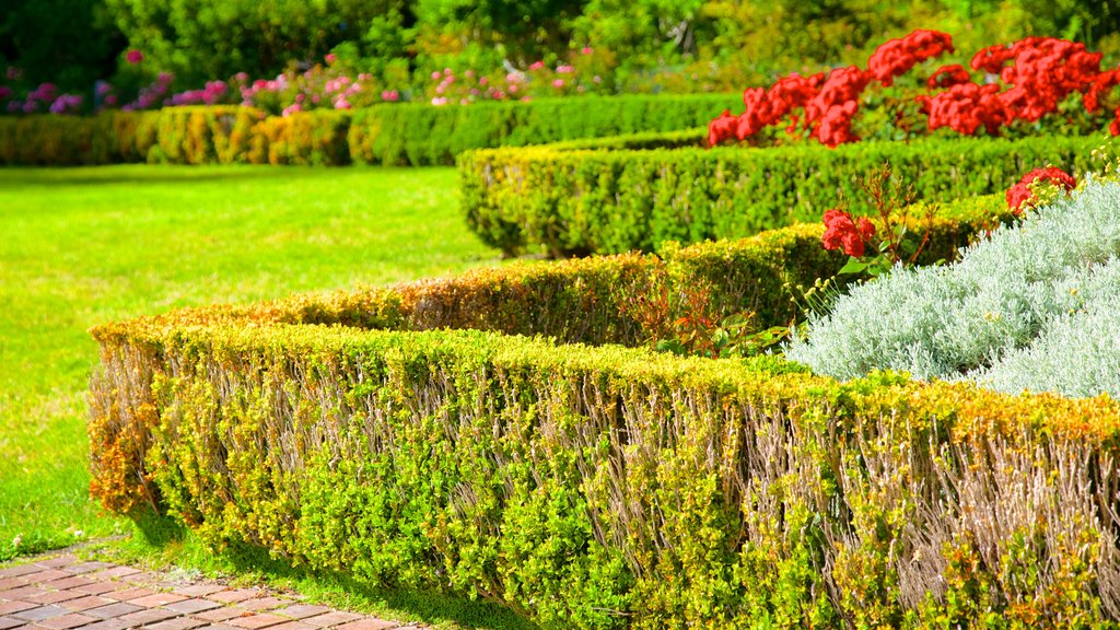 Shore Acres State Park showing flowers and a garden