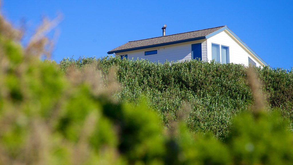 Bandon Beach showing a house