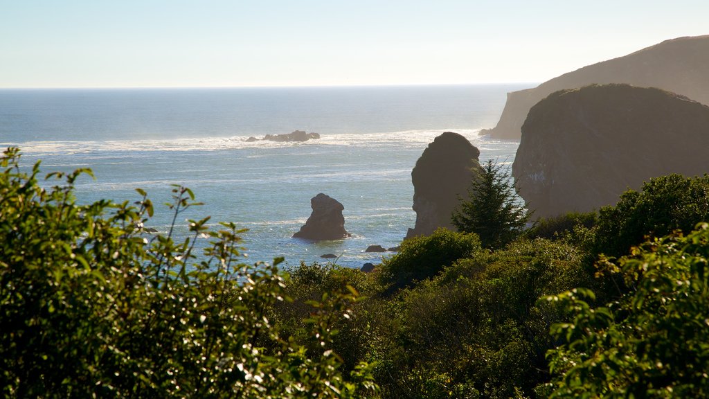 Harris Beach State Park featuring rugged coastline