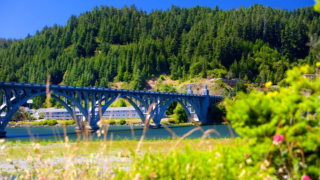 Puente Patterson que incluye un río o arroyo, imágenes de bosques y un puente