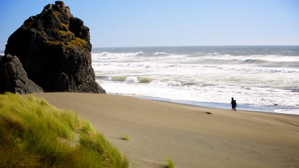 Gold Beach which includes a sandy beach