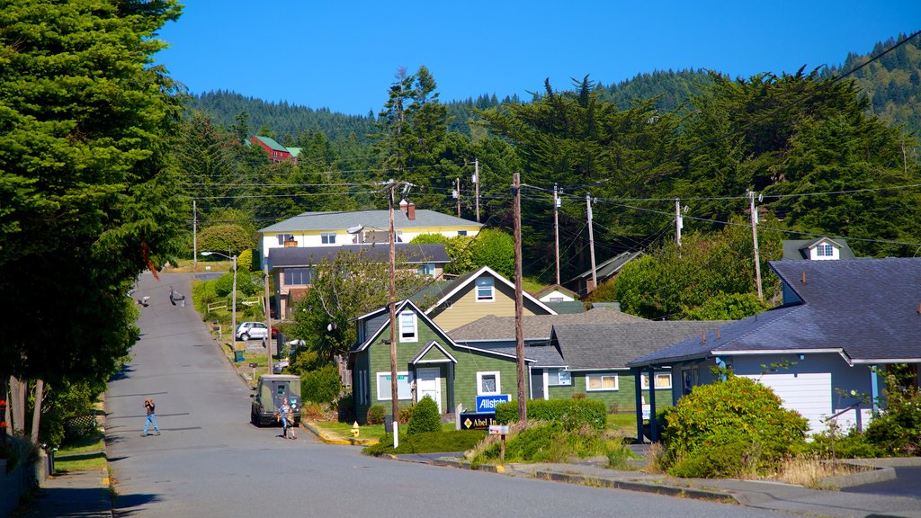 Gold Beach ofreciendo una pequeña ciudad o aldea, imágenes de calles y una casa