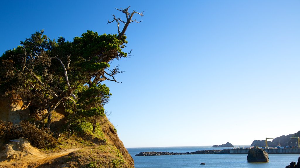 Port Orford toont algemene kustgezichten