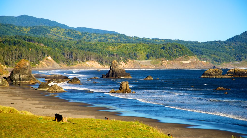 Port Orford mostrando una playa de arena