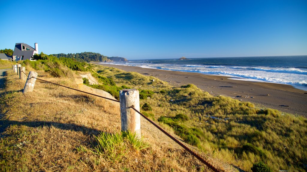 Port Orford showing a beach and general coastal views