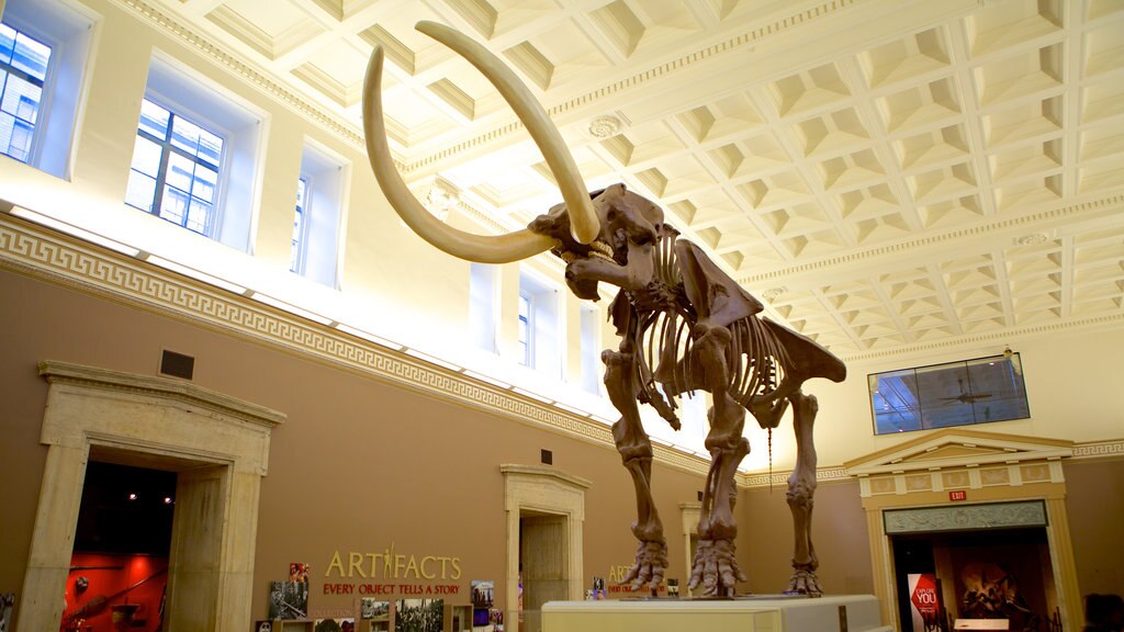 Buffalo Museum of Science featuring interior views