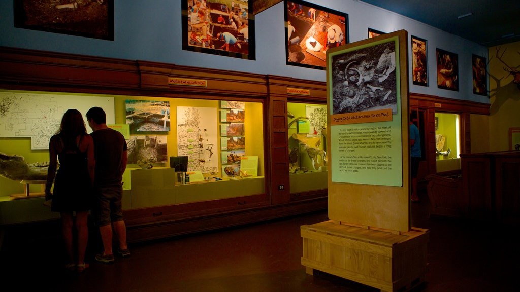 Buffalo Museum of Science showing interior views