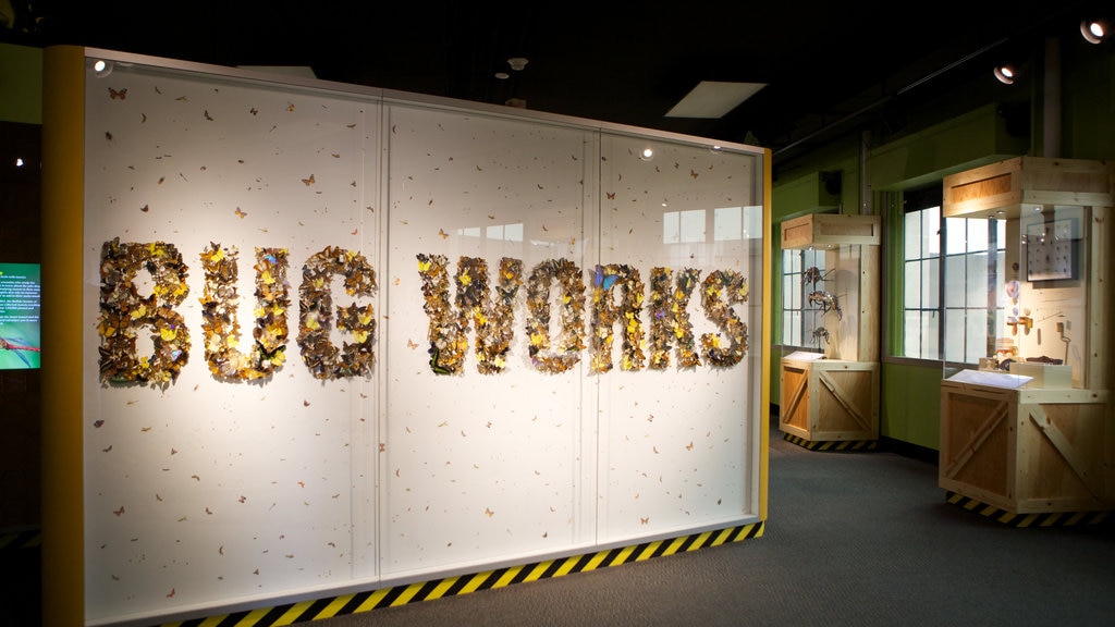 Buffalo Museum of Science featuring signage and interior views