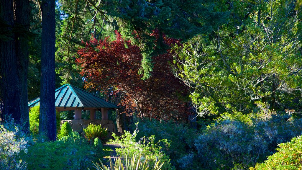 Azalea Park showing a garden