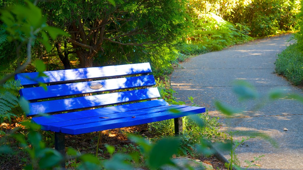 Azalea Park showing a park