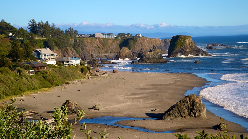 Harris Beach State Park showing a beach, general coastal views and landscape views