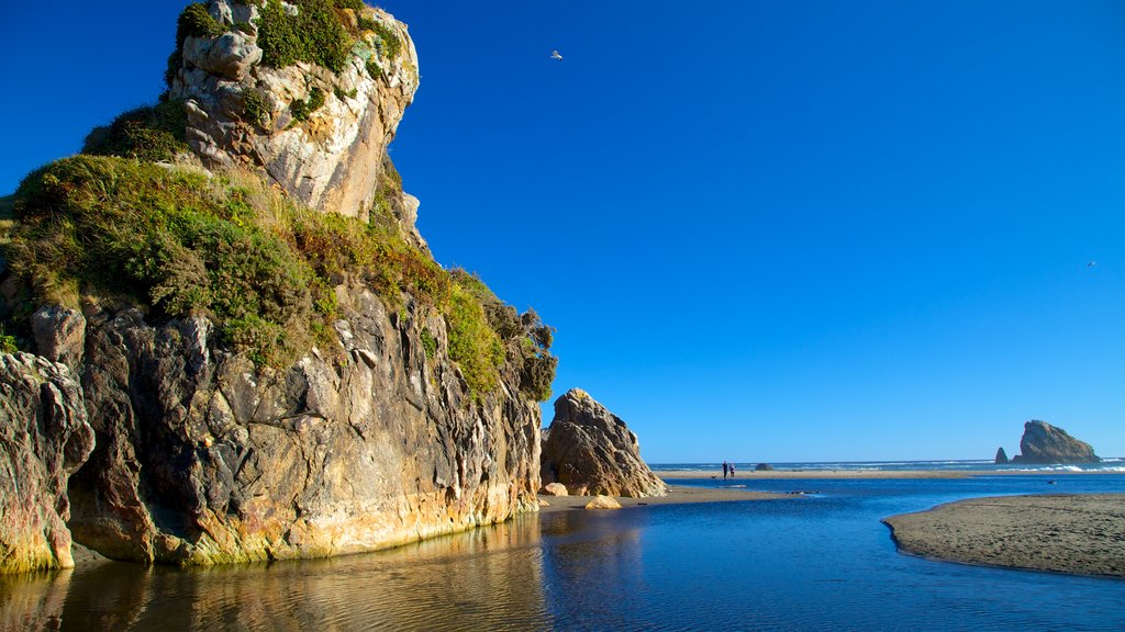 Harris Beach State Park showing a sandy beach and rocky coastline