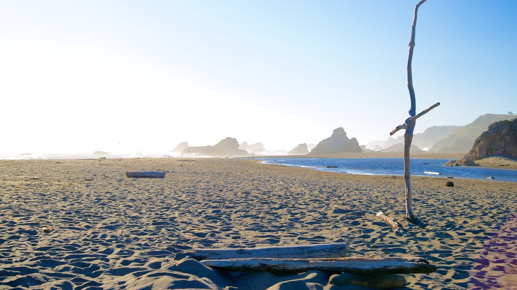 Harris Beach State Park which includes landscape views and a beach