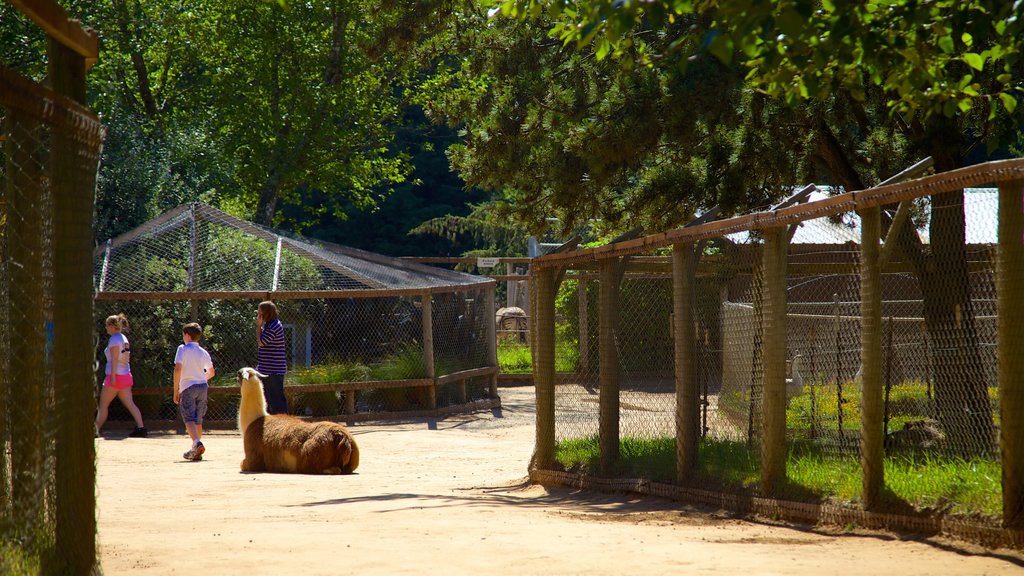 West Coast Game Park Safari que inclui animais de zoológico e animais terrestres