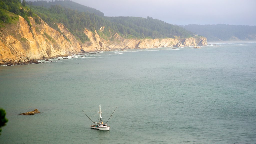 Cape Arago 州立公園 呈现出 陡峭海岸線