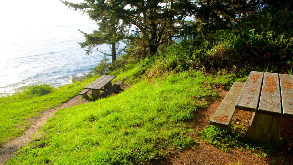 Parque estatal Cape Arago mostrando vistas generales de la costa