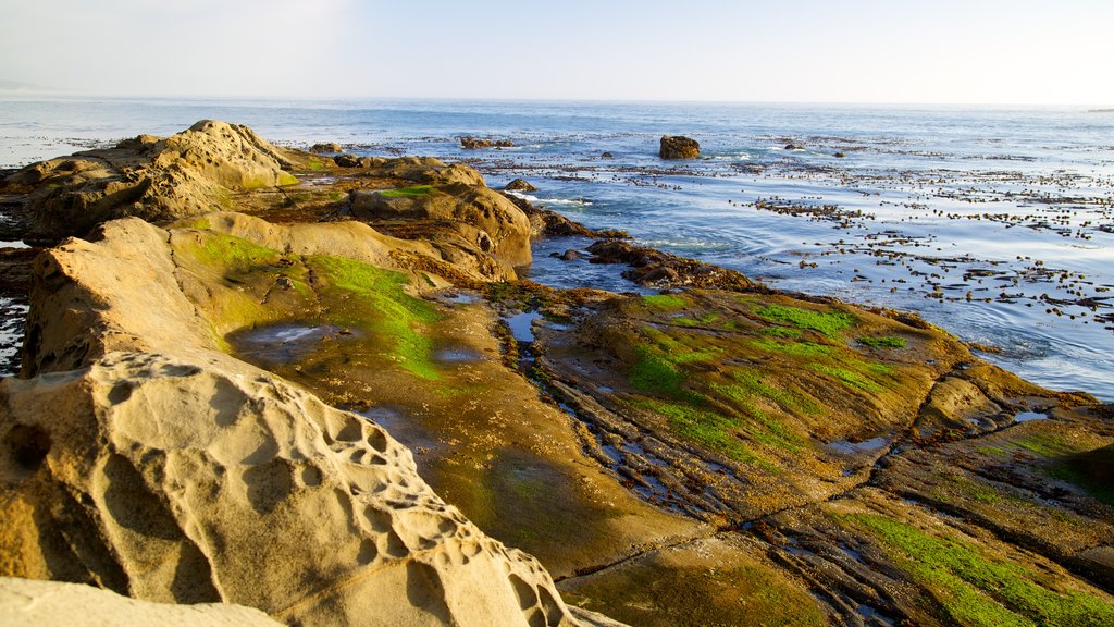 Cape Arago State Park showing general coastal views