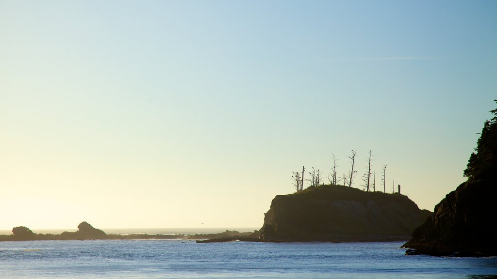 Parque estatal Cape Arago ofreciendo vistas generales de la costa, costa escarpada y una puesta de sol