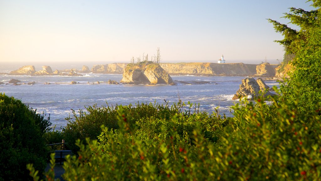 Cape Arago State Park showing rugged coastline