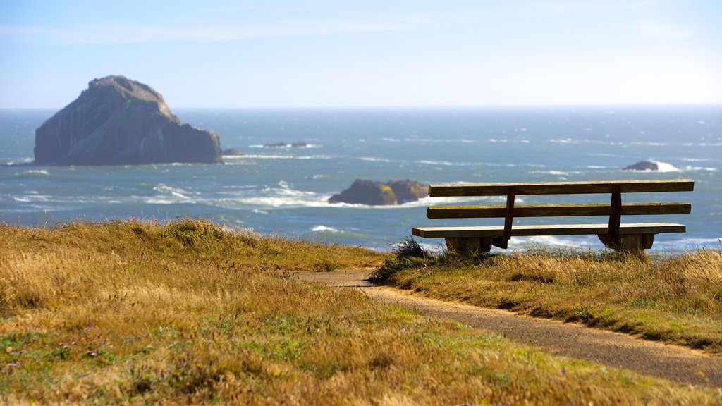 Bandon Beach showing general coastal views and views