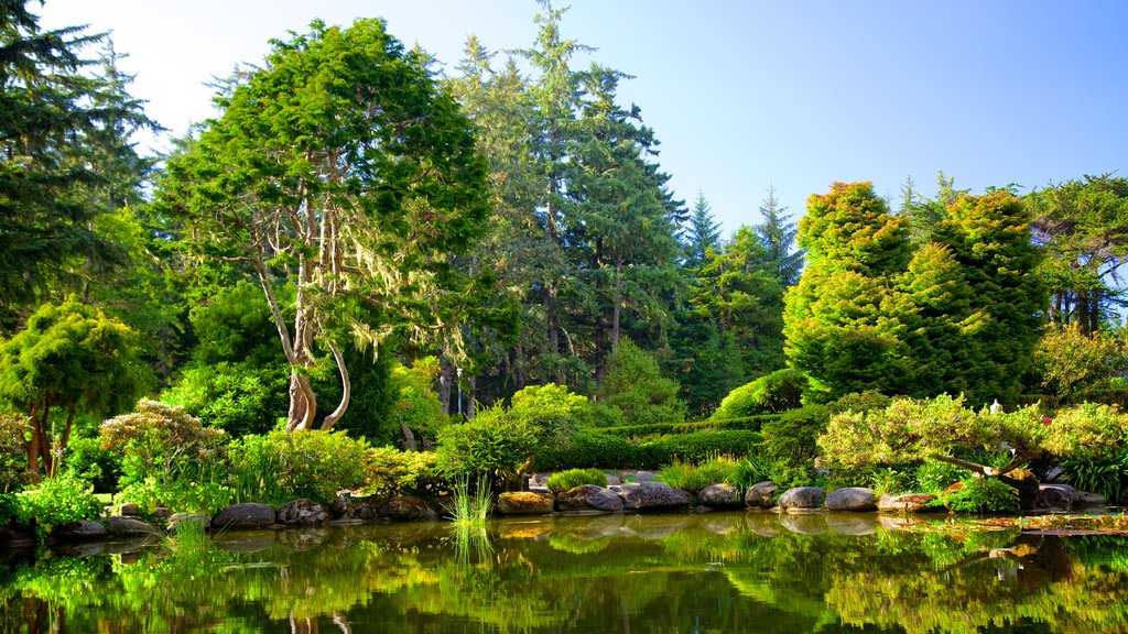 Shore Acres State Park featuring forest scenes and a pond