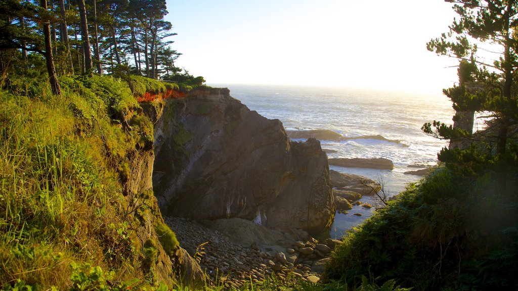 Shore Acres State Park showing rugged coastline