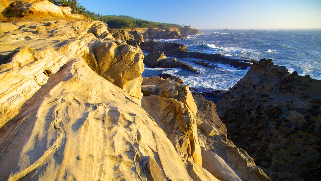 Shore Acres State Park showing rocky coastline