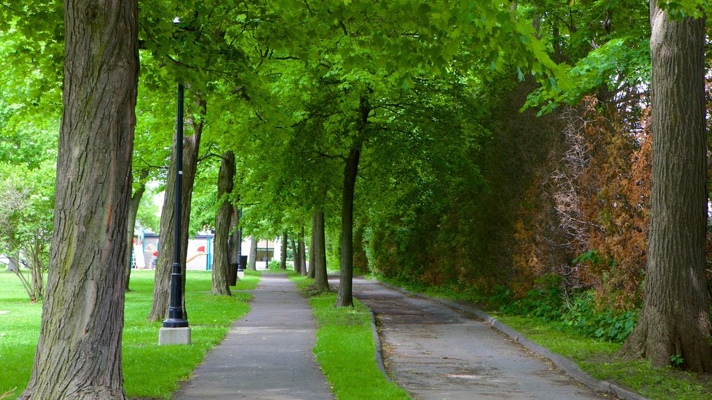 Granby som visar en trädgård