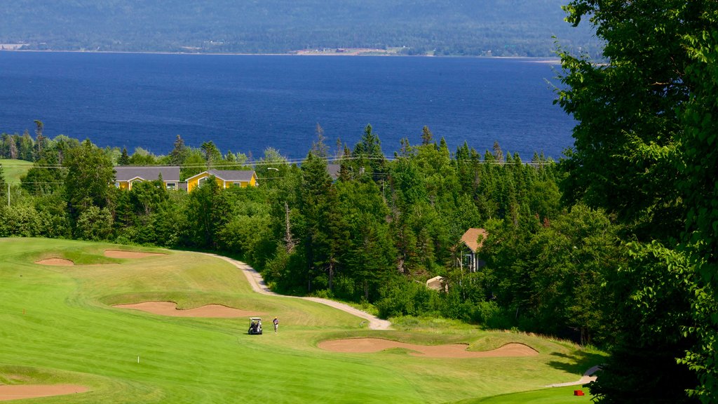 Humber Valley mostrando golfe