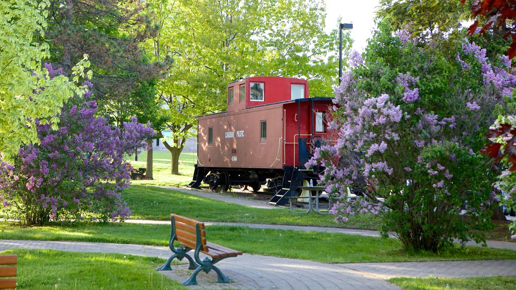 Brockville montrant éléments ferroviaires, un jardin et fleurs