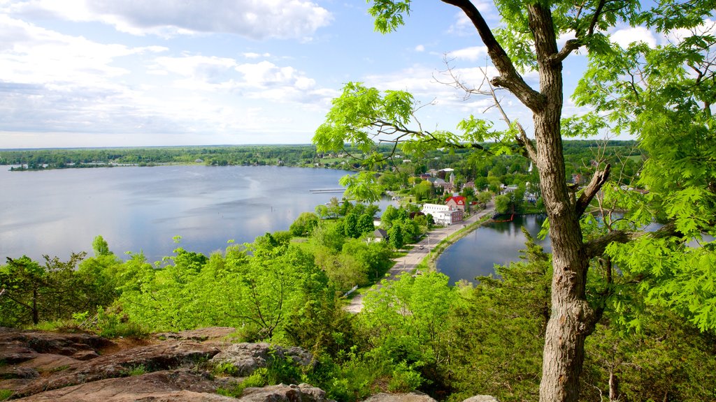 Westport showing a lake or waterhole