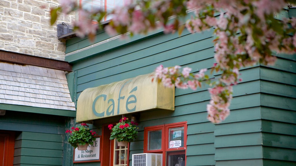 Merrickville showing signage and flowers