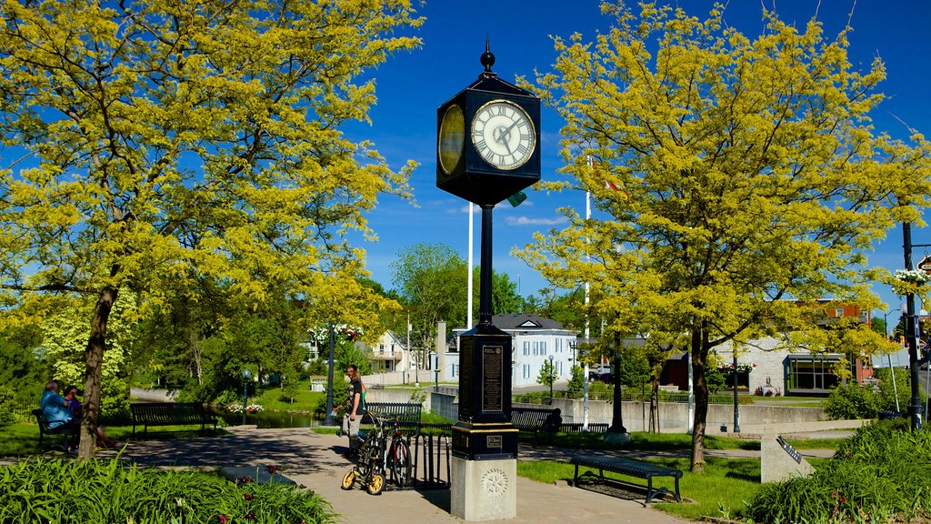 Kemptville featuring a garden