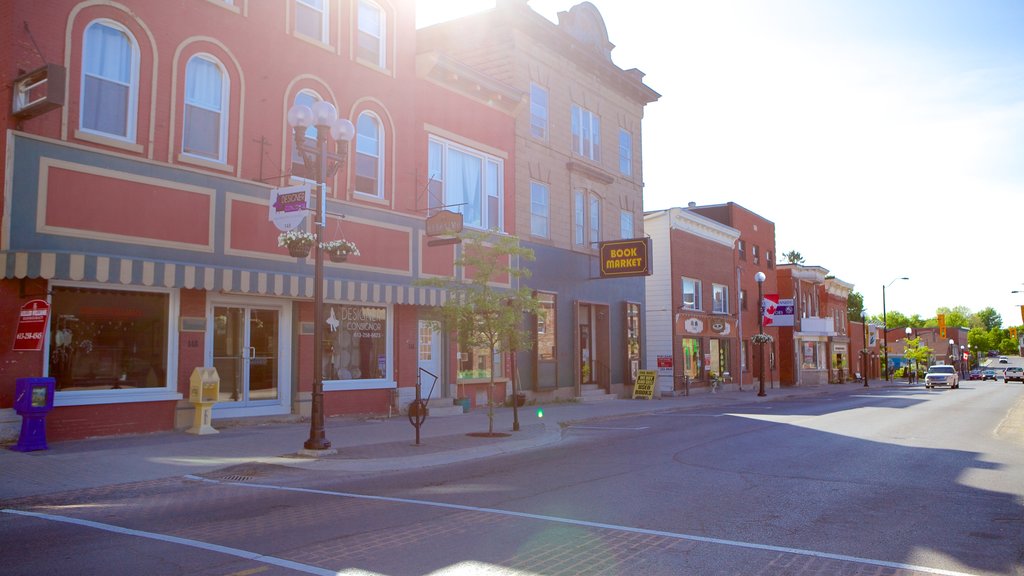 Kemptville que incluye una pequeña ciudad o pueblo y escenas urbanas