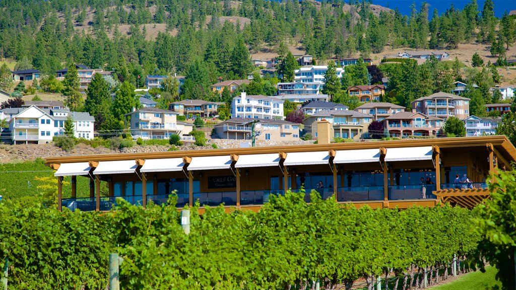 Quails\' Gate Estate Winery showing farmland and a house