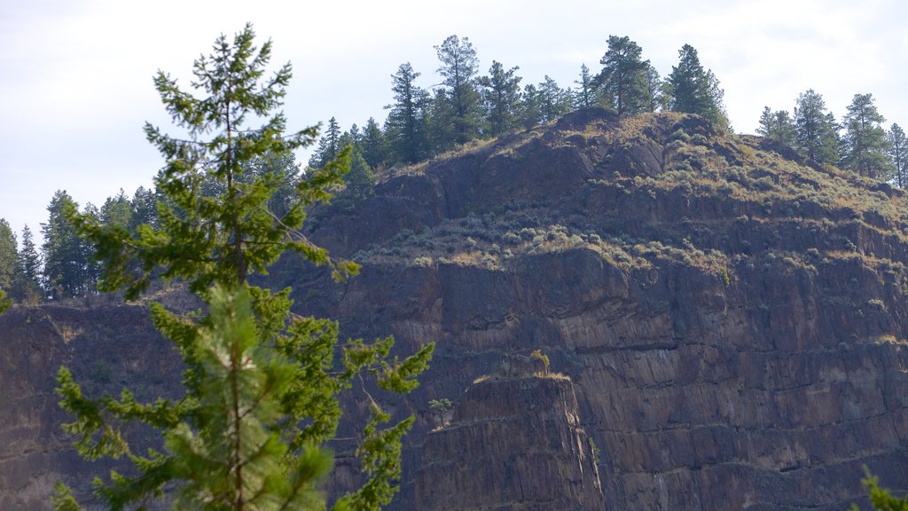 Scenic Canyon Regional Park featuring a gorge or canyon