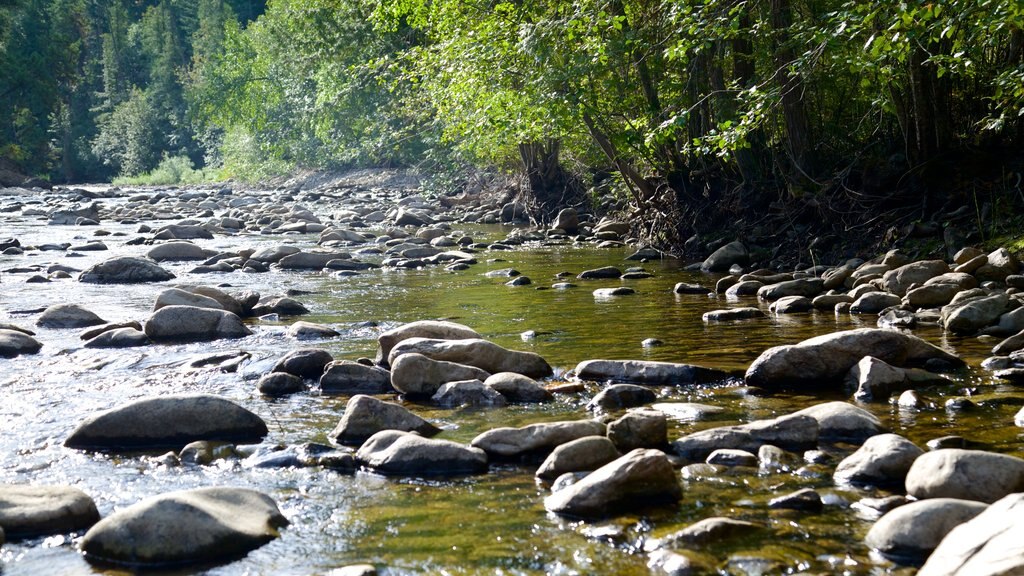 Parque regional Scenic Canyon que incluye un río o arroyo