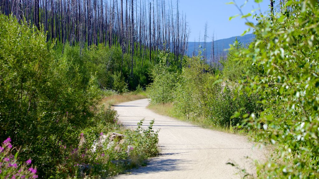 Myra-Bellevue Provincial Park