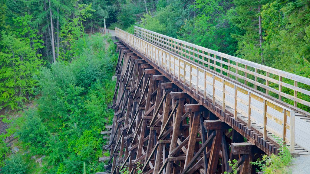 Myra-Bellevue Provincial Park featuring a bridge and forests