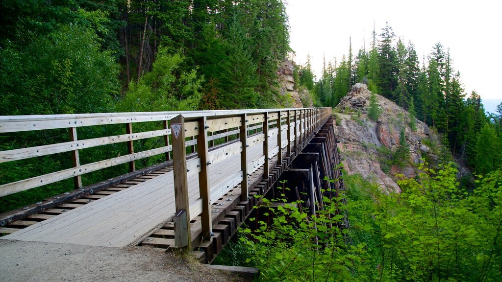 Myra-Bellevue Provincial Park which includes a bridge and forest scenes